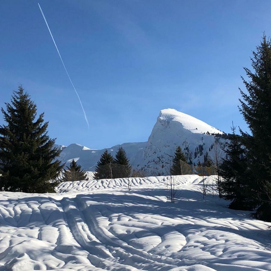 Apartment L'ours Blanc Le Biot